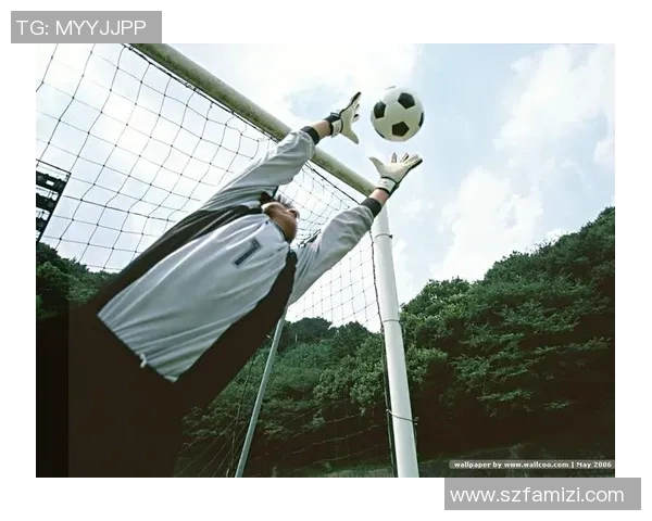 足球明星戴维斯壁纸精选高清图片尽享运动魅力与青春活力的完美结合